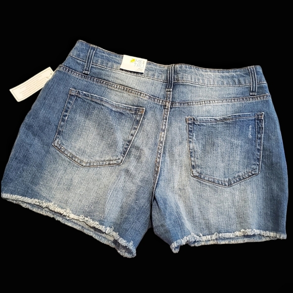 NWT-Time and Tru Sretch Denim Shorts. Size 14. - Picture 2 of 6
